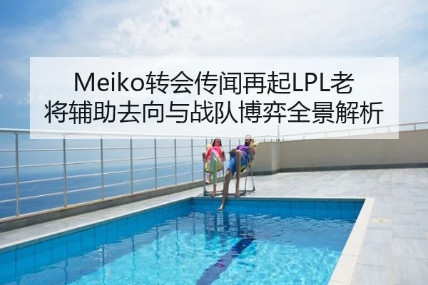 Meiko转会传闻再起LPL老将辅助去向与战队博弈全景解析
