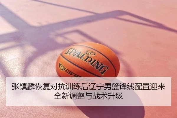 张镇麟恢复对抗训练后辽宁男篮锋线配置迎来全新调整与战术升级