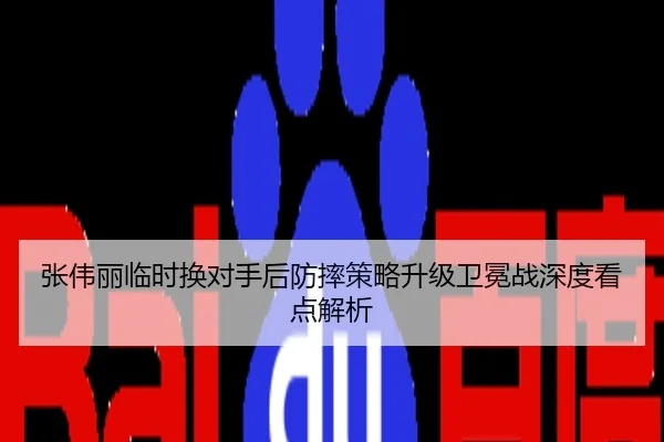 张伟丽临时换对手后防摔策略升级卫冕战深度看点解析
